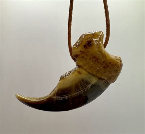 Real Polar Bear Claw - Drilled for Sale - Shaman Amulets Store