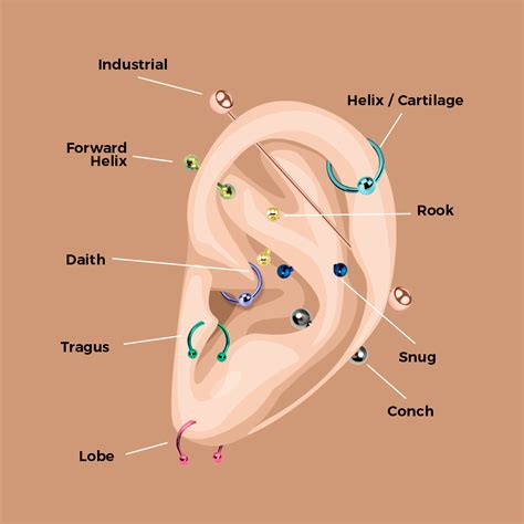 Types Of Body Piercings