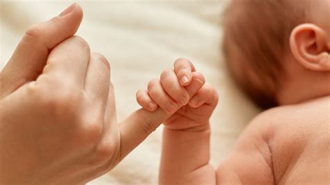 Wegovy and fertility: the truth behind 'Ozempic babies'