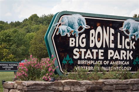 Lickety-Split - Twelve Mile Circle