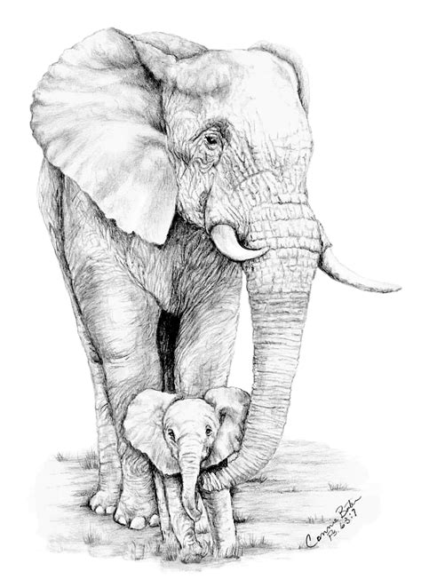 "Baby of Mine" graphite drawing I did of one of my favorite animals in ...