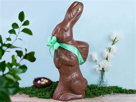 Largest Chocolate Bunny