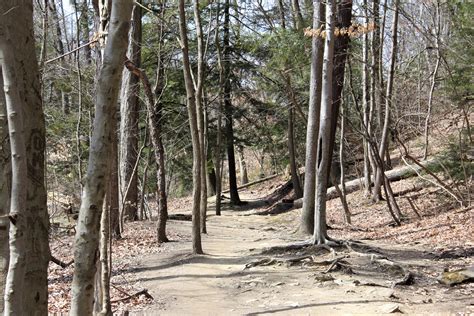 Just wanted to share how beautiful one of the paths at the Gorge Metro ...
