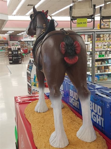 54 best u/tangsta1 images on Pholder | Bikeporn, Skiing and Snowmobiling