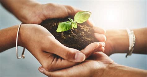 Grow With Us - PAM Health Careers