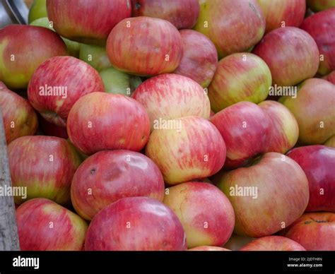 Apple Fruit Value at Wilfred Mccarty blog - market share of apple in india