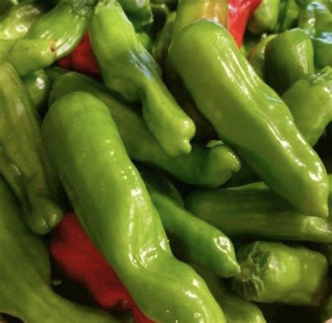Italian Pepperoncini Pepper Seeds | Sweet | Heirloom – Murray Seed Co