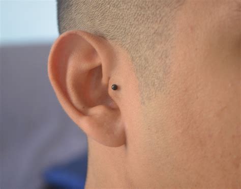Piercing Masculino Tragus | Piercings masculinos, Piercing no tragus ...