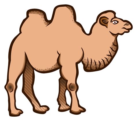 Camel Silhouette SVG Camel Clipart Camel PNG Camel Art - Clipart ...