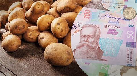 Цены на картофель в супермаркетах - какая стоимость в октябре 2024 ...