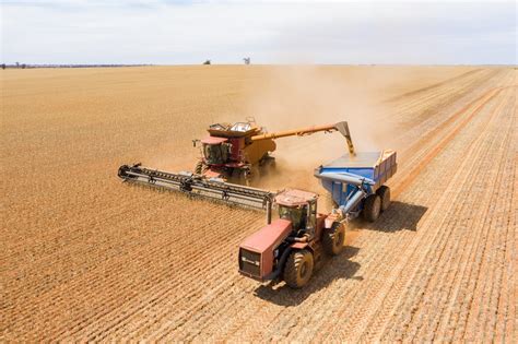Understanding the Grain Harvest Season in Australia - Grainwise