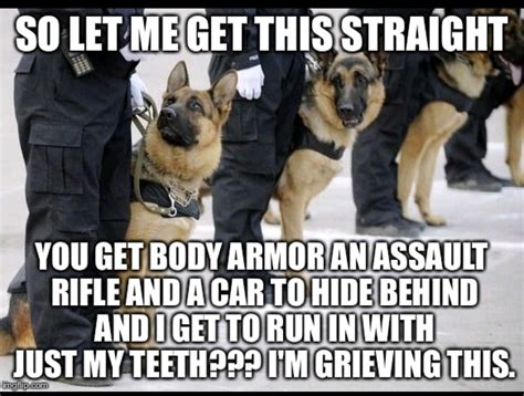 Pin by Daniel W. Jenkins on Law Enforcement / K-9 | Dog jokes, Police ...
