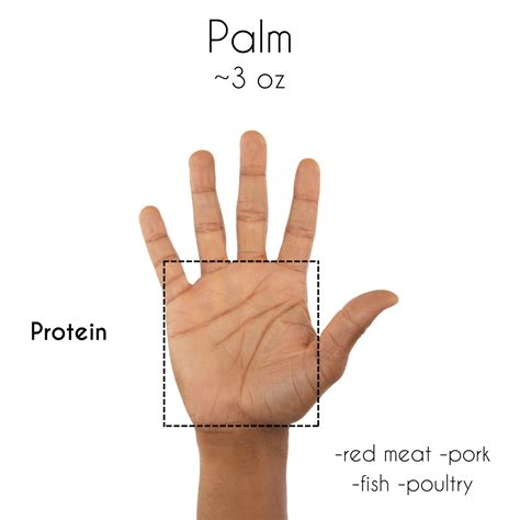 Basics: Portions - The hand guide to Food Portions: Combating Portion ...