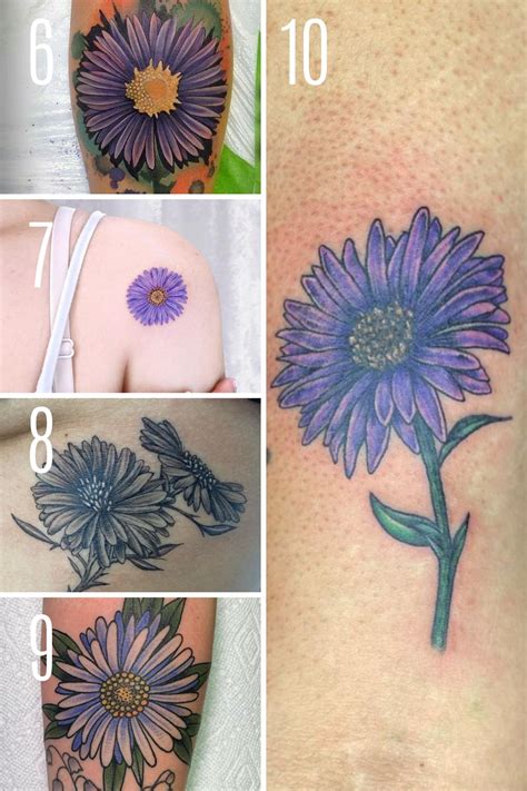 Aster Flower Tattoo Designs | Best Flower Site