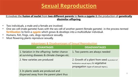 Reproduction in plants is very Good subject | PPTX