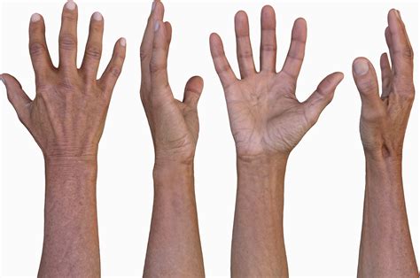 Hand 3D Models