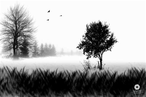 Black and White Fine Art Scene | Photoshop Tutorial | Photo ...