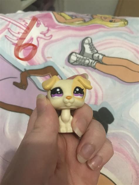 Lps haul multiple pets: fake or not? : r/littlestpetshopfakes