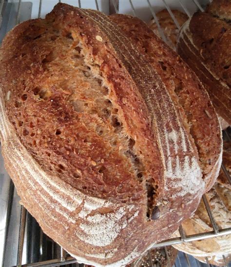 Traditional Wholemeal Sourdough Batard With Rolled Oats - Solaris ...