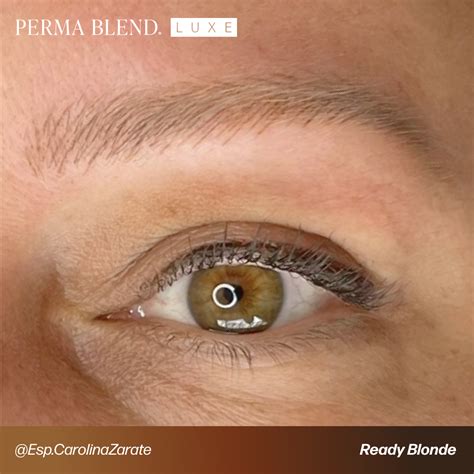 LUXE - Ready Blonde | Perma Blend Pigments - Perma Blend