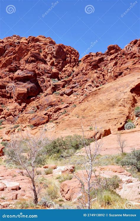 Calico Basin, Red Rock Conservation Area, Southern Nevada, USA Stock ...