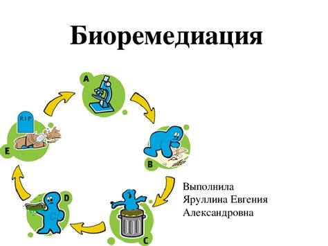 Презентация по биотехнологии на тему "Биоремедиация" (5 курс). Область ...