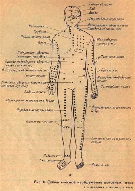 Точки акупунктуры на теле человека. Атлас, фото, как делать точечный массаж