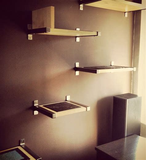 Diy Cat Shelves