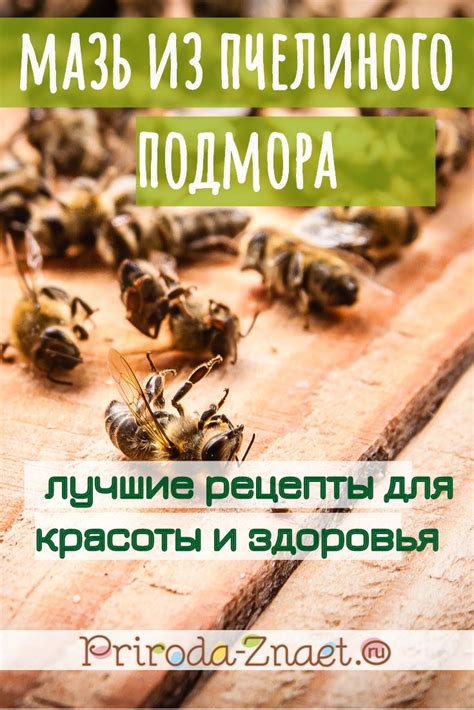 Мазь из пчелиного подмора – болезни уйдут, и старость наступит не скоро ...
