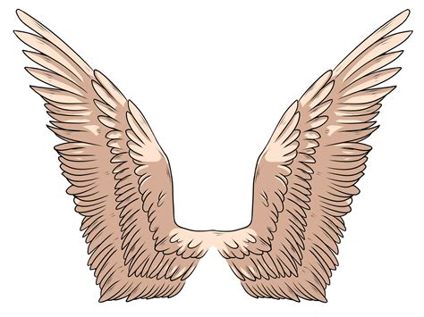 How to Draw Angel Wings: 14 Steps (with Pictures) - wikiHow