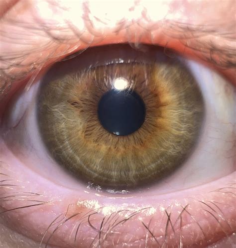 What's my eye color? : r/eyes