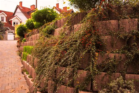 Növény támfal elemek - BetonEPAG