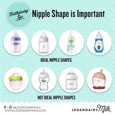 Types Of Baby Bottles Nipples at Barbara Macdonald blog