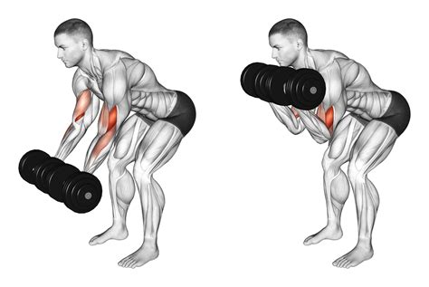 6 Best Spider Curl Alternatives (with Pictures!) - Inspire US