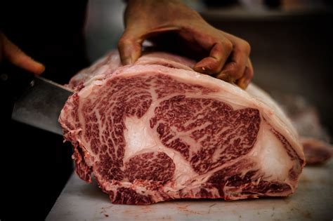 Wagyu | Description, Cattle, Kobe Beef, Massage, & Facts | Britannica