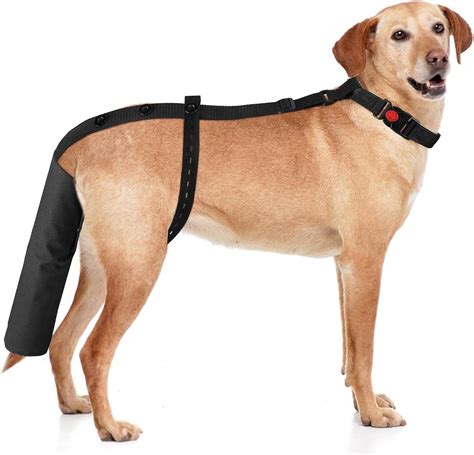 Amazon.com : EBaokuup Dog Tail Guard,Adjustable Dog Ends Protector,Used ...