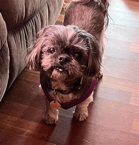 Olathe Animal Shelter