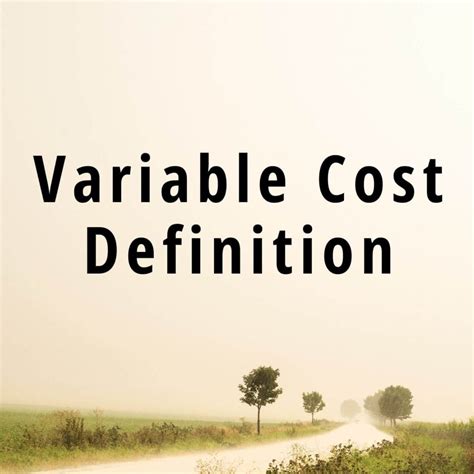 Variable Cost Definition (4 Examples and Formula) - BoyceWire