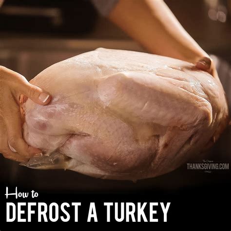Video: How to Thaw a Turkey and More Thanksgiving Turkey Tips
