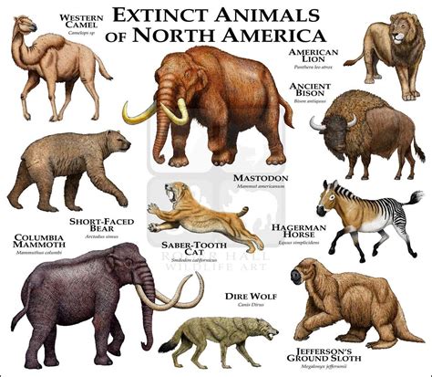 Extinct Mammals of North America Fine Art Print | Extinct animals, Ancient animals, Mammals