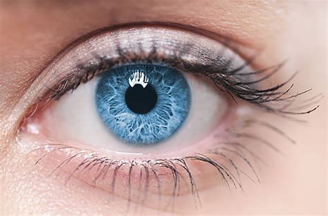 How to Improve Your Eye Health - Health Benefits