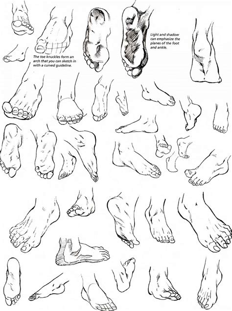 Anatomy The Foot Pencil Sketch Ankle | Sketches, Drawing people, Pencil ...