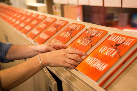 Go set a watchman - Mirror Online