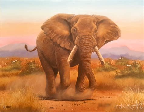 African Elephant Canvas Prints at Freddie Johson blog