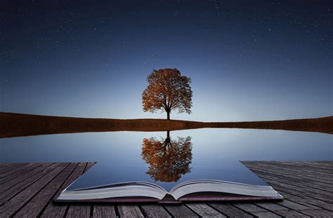 Win your life by harnessing The Power Of Reflection | by Rybo Chen ...