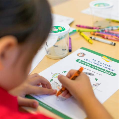 Insect Lore - Butterfly G...B00000ISC5 | Encarguelo.com.ve