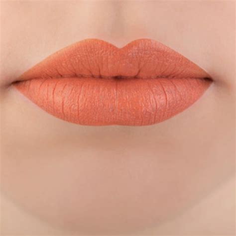 Orange Colour Lipstick | Lipstutorial.org