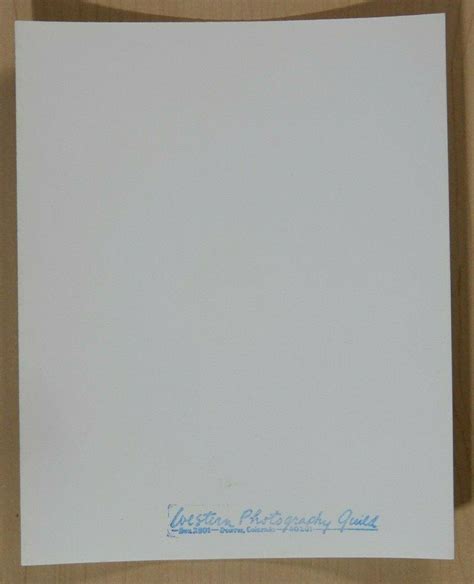 Beautiful Vintage Physique, Original Male Nude, Posing Strap Era, 4x5 Print WPG | #3923360219