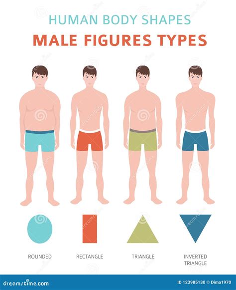 Human Body Shapes. Male Figures Types Set Stock Vector - Illustration ...