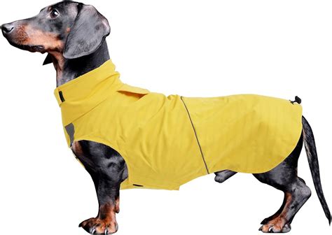 Amazon.com : Dachshund Raincoat Weiner Dog Clothes Suitable for ...